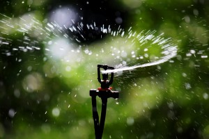 Sprinkler_Irrigation_-_Sprinkler_head