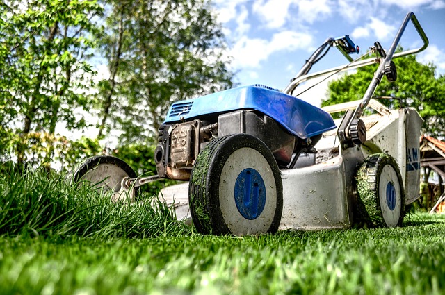 Fertilizing your Lawn