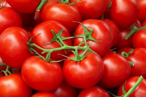 The Latest Technology For Tomato Growth, Ripening, and Coloring