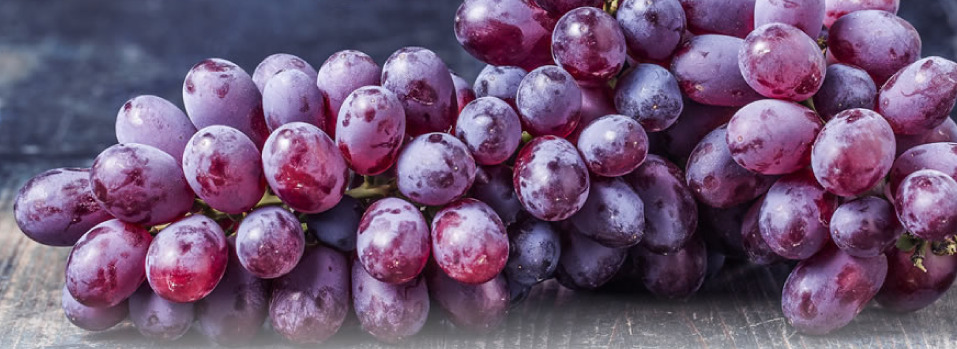 Grapes Color Protocol Using Rebound™
