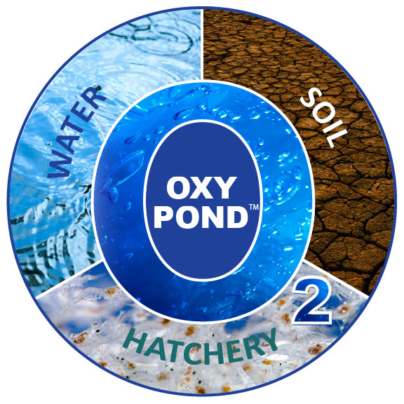 OXY-POND Pond Management Solution
