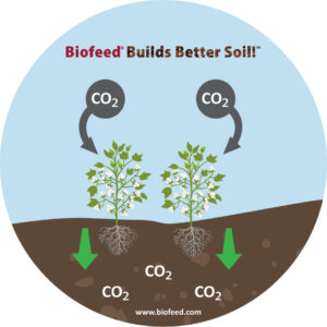 Carbon Drawdown Biofeed Products