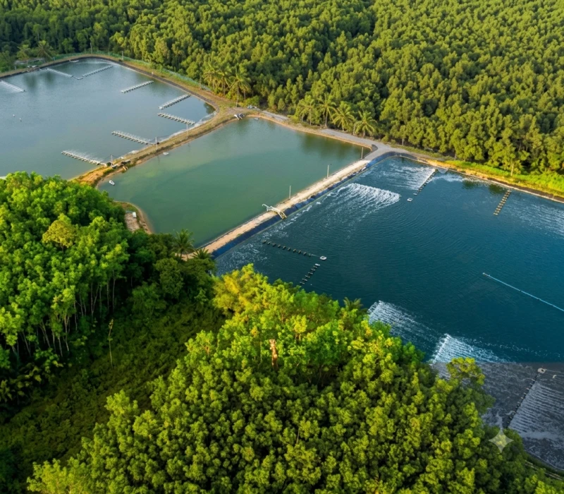 Aerial view of a large body of water surrounded by trees, with a bridge crossing over it